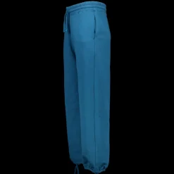 Zeeman #basicz joggingbroek - Blauw^DAMES Broeken|Broeken