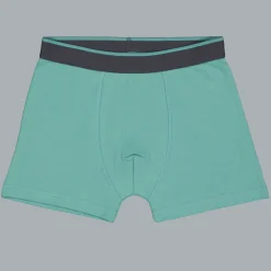 Zeeman Boxer - Grijs^ Ondergoed|Ondergoed