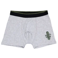 Zeeman Boxer - Groen^ Ondergoed|Ondergoed