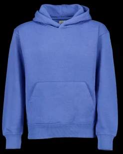 Zeeman Hoodie - Blauw^ Truien & Vesten|Truien & Vesten