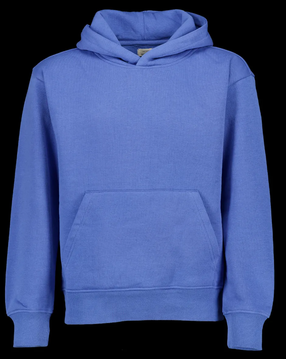 Zeeman Hoodie - Blauw^ Truien & Vesten|Truien & Vesten