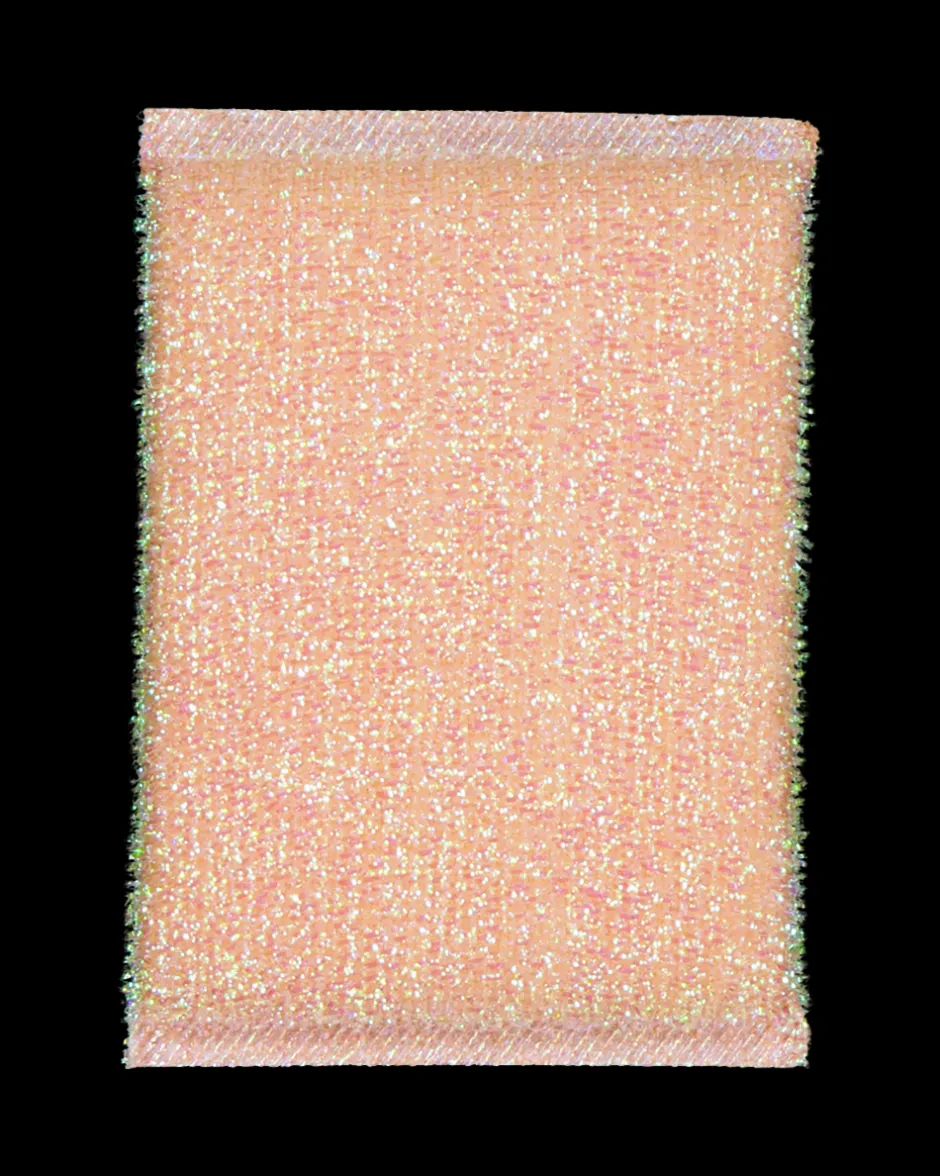 Zeeman Schuurspons - Multi-color^ Schoonmaken