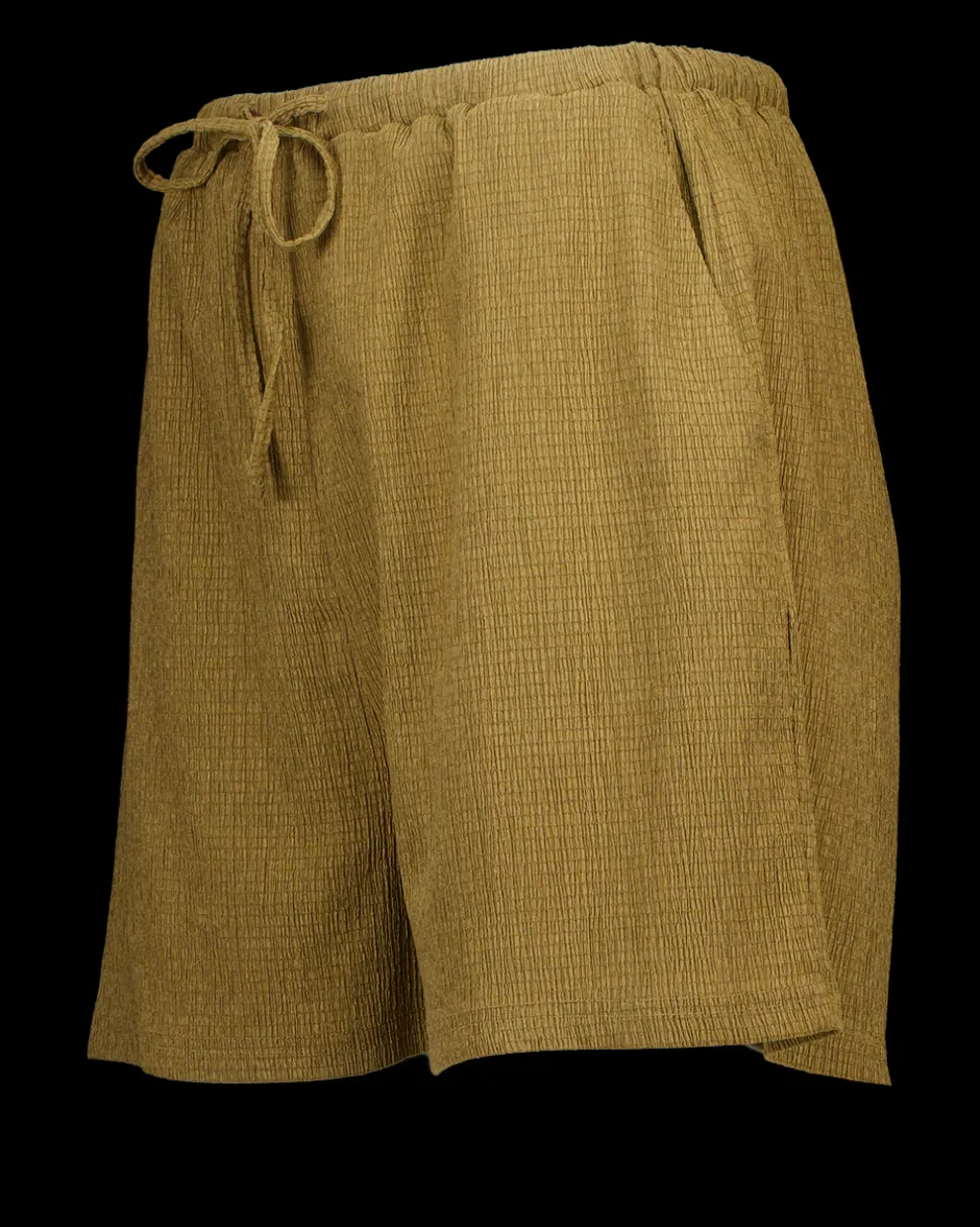 Zeeman Short - Bruin^DAMES Broeken