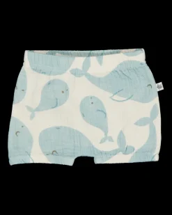 Zeeman Short - Multi-color^ Broeken