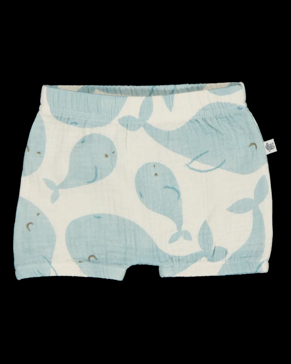 Zeeman Short - Multi-color^ Broeken