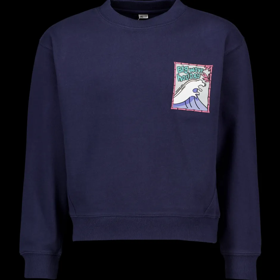 Zeeman Sweater - Blauw^ Truien & Vesten|Truien & Vesten