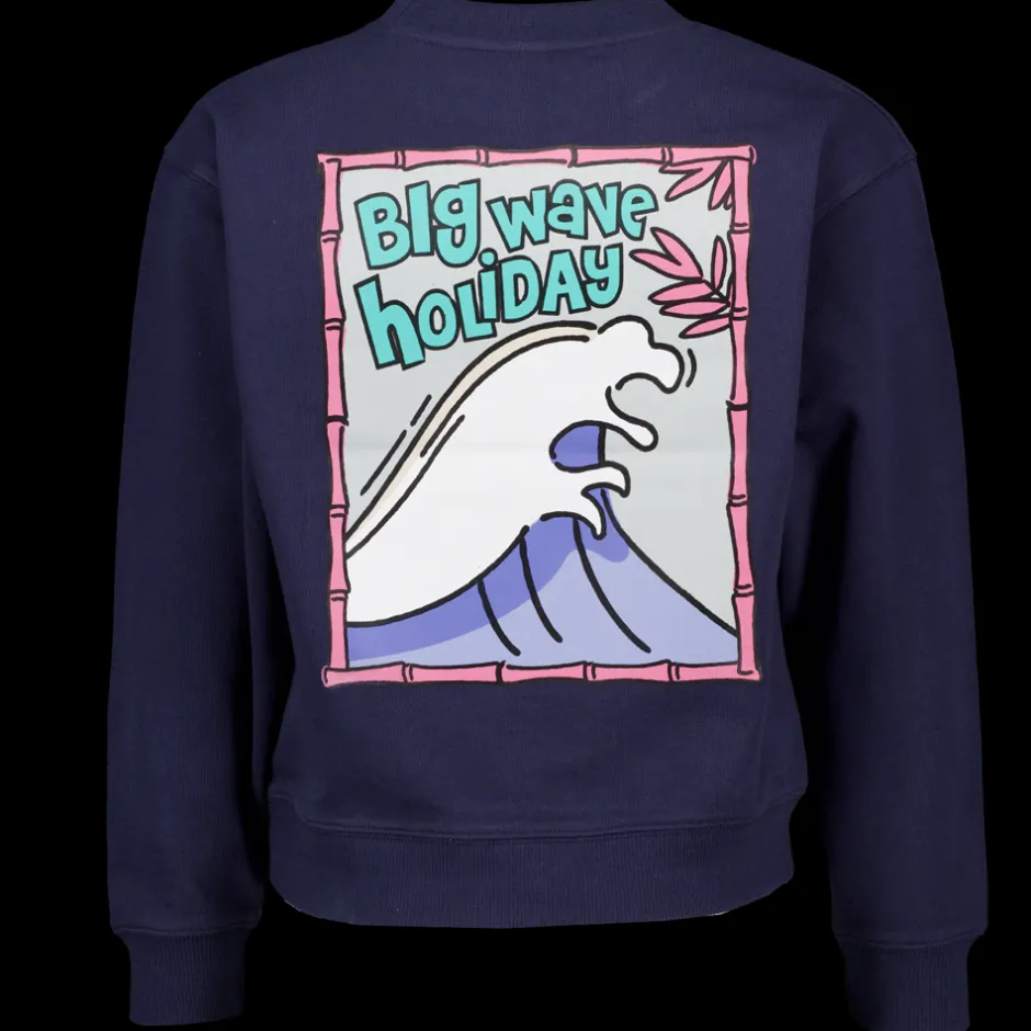 Zeeman Sweater - Blauw^ Truien & Vesten|Truien & Vesten