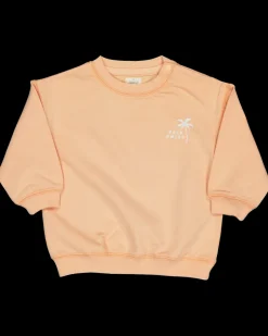 Zeeman Sweater - Roze^ Truien & Vesten