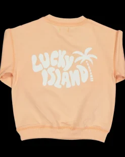 Zeeman Sweater - Roze^ Truien & Vesten