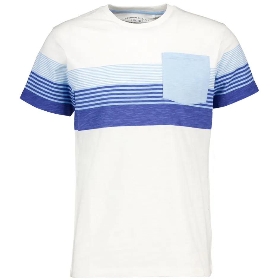 Zeeman T-shirt - Blauw^Heren T-shirts & Polo's