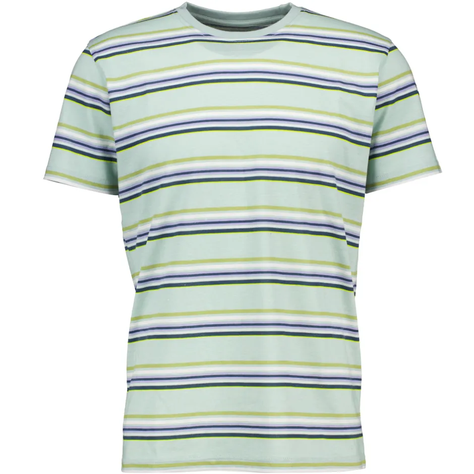 Zeeman T-shirt - Blauw^Heren T-shirts & Polo's