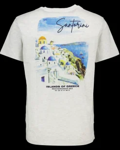 Zeeman T-shirt - Grijs^Heren T-shirts & Polo's