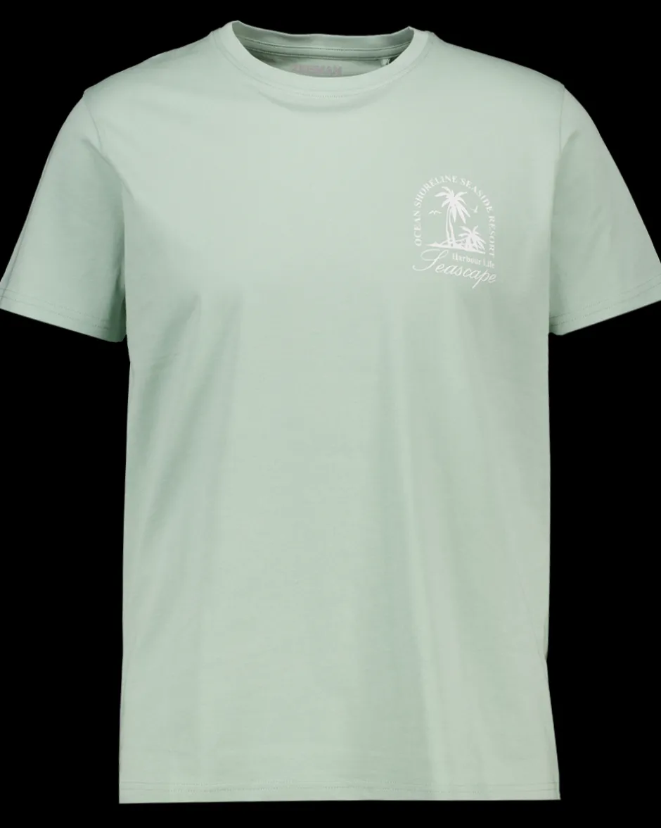 Zeeman T-shirt - Groen^Heren T-shirts & Polo's