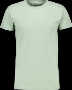 Zeeman T-shirt - Groen^Heren T-shirts & Polo's