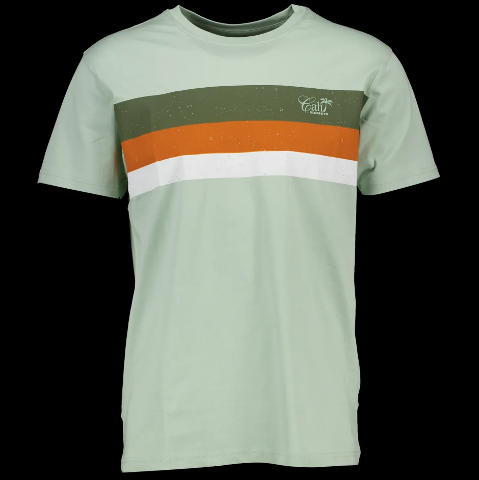 Zeeman T-shirt - Groen^Heren T-shirts & Polo's