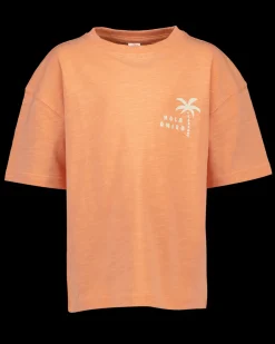 Zeeman T-shirt - Roze^ Shirts