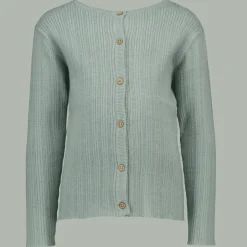 Zeeman Vest - Groen^ Truien & Vesten