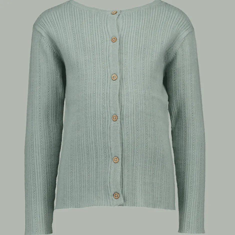 Zeeman Vest - Groen^ Truien & Vesten
