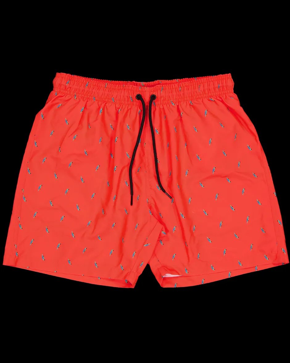Zeeman Zwembroek - Oranje^Heren Zwemkleding